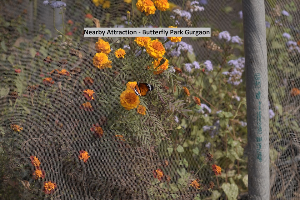 OYO 304 Hotel Elevate Residency, Golf Course Road, Gurgaon