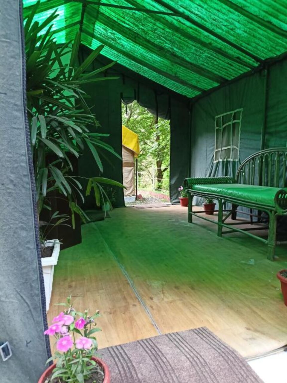 POP 81257E Camp Off The City, Kachighatti- summerhill, Shimla