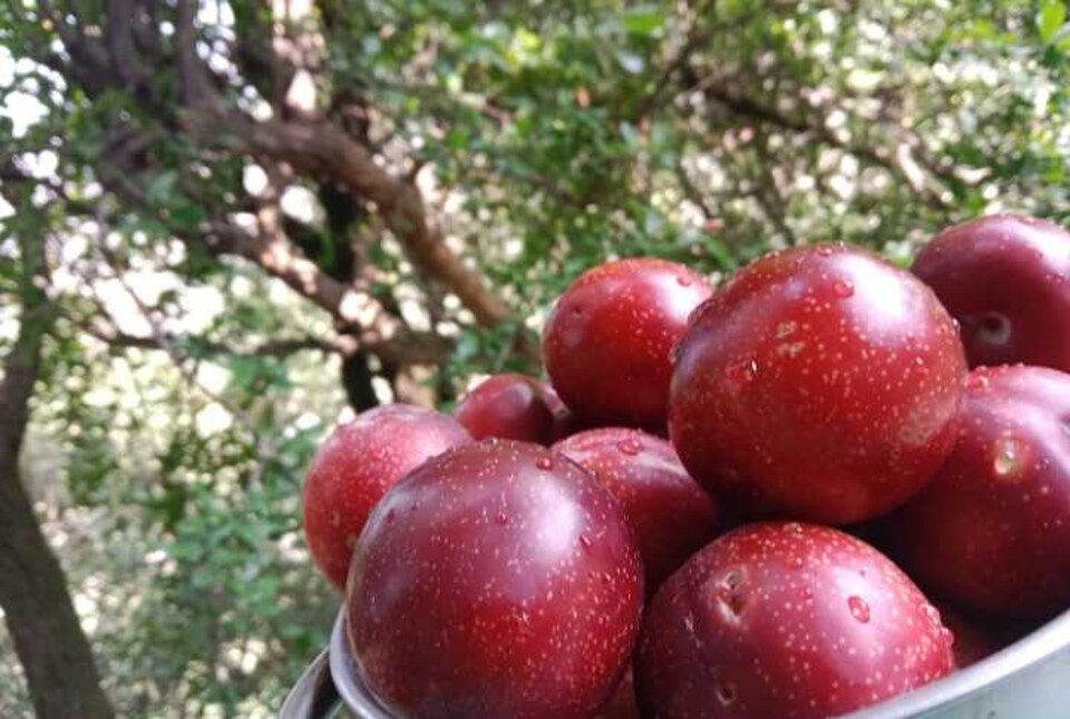 POP 81262K Hotel Bhajan Palace, Uttarkashi, Uttarkashi