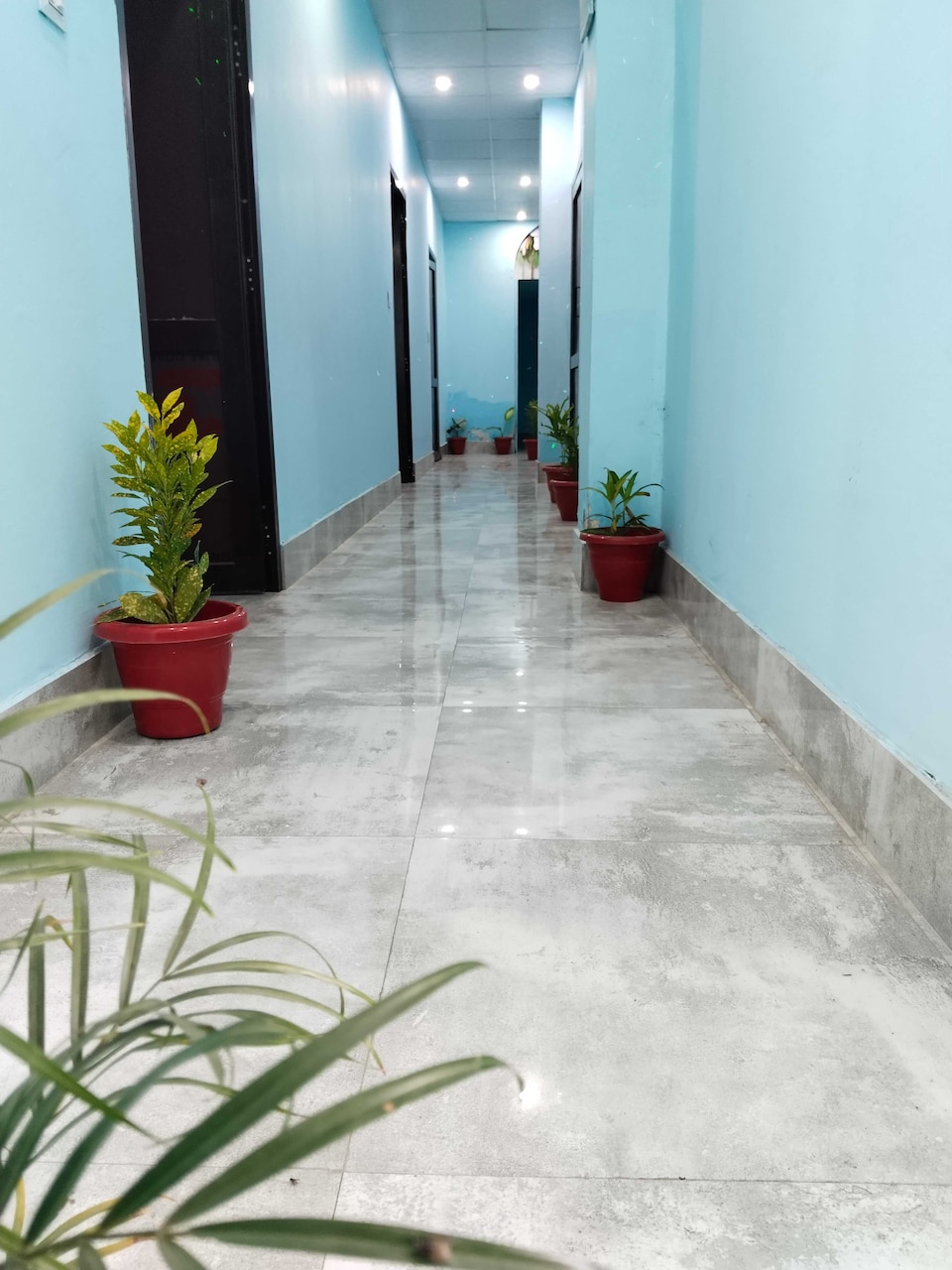 OYO 815201 Sky Bird, Pehowa, Pehowa