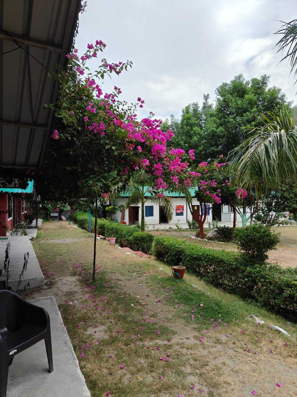 POP 81533J Yaritoli Resorts , Neelkanth Road, Rishikesh