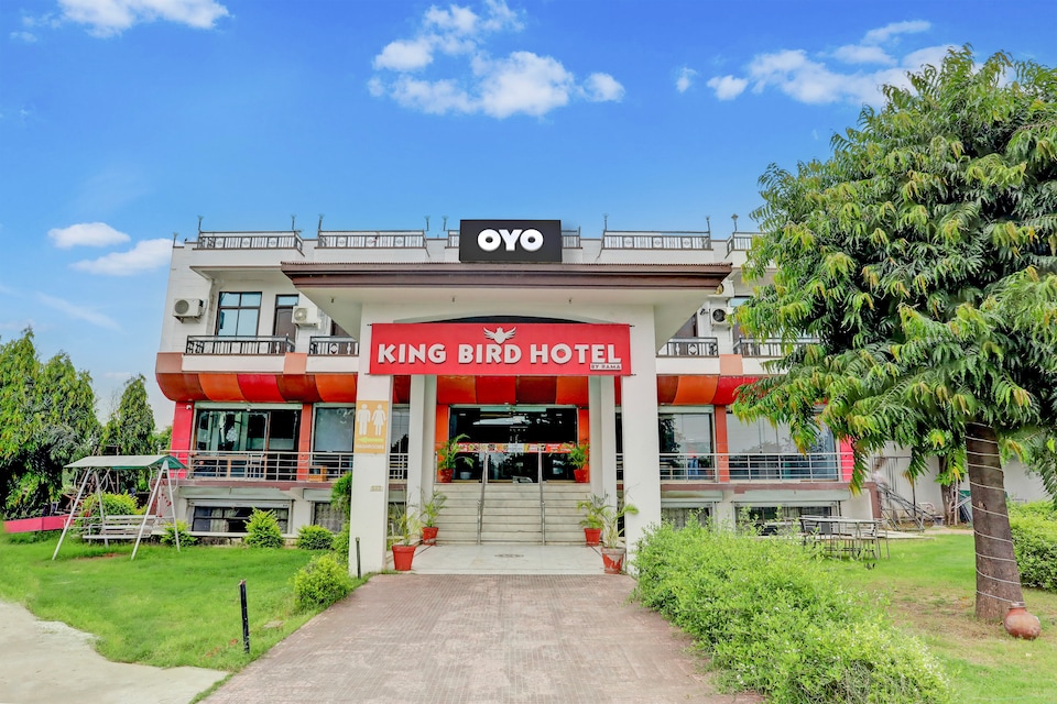 Hotel O King Bird And Restaurants, SEZ Jaipur, Jaipur