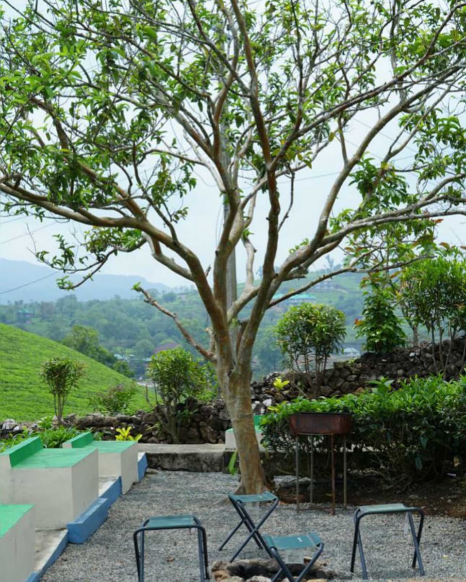 POP HOME 81825D Mountain Maverick Resorts Vagamon , Thekkady, Thekkady