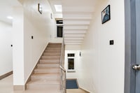 Townhouse Oak Ecstasy