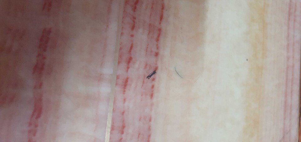 POP 81895A Sainik Guest House, Industrial Area Chandigarh, Chandigarh