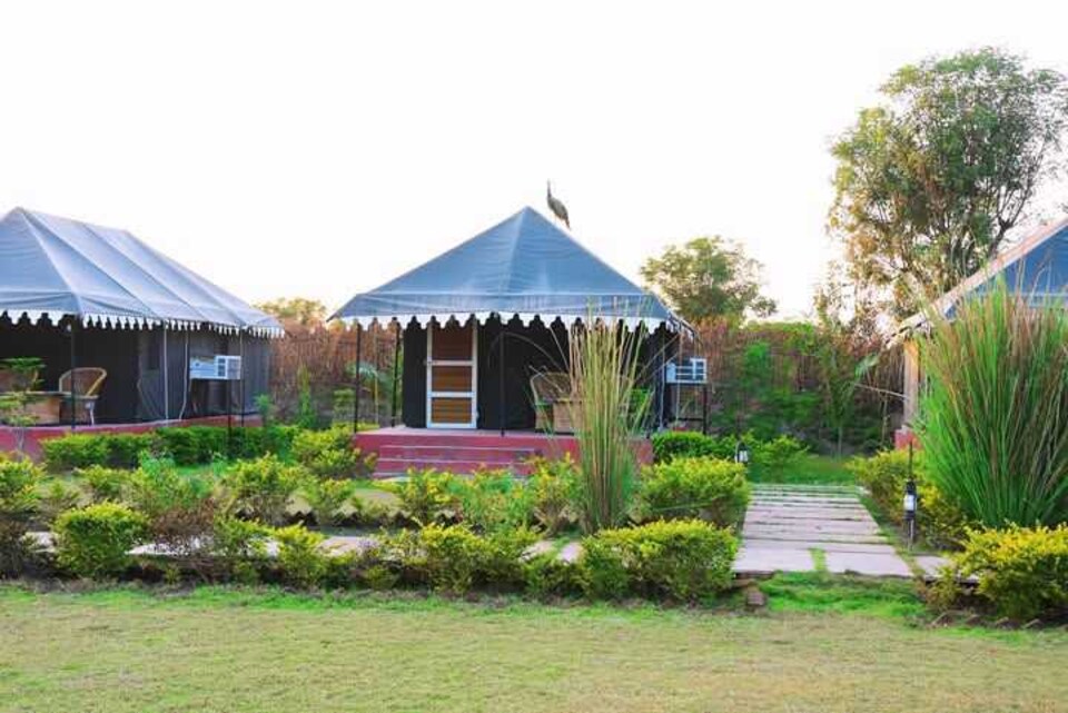 Hotel O Pritampalace, Ranthambore, Ranthambore