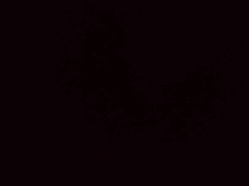 OYO 820431 Hotel Samrat, Hisar, Hisar