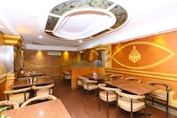 Collection O Dolphin Park