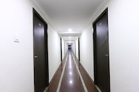 Collection O Dolphin Park