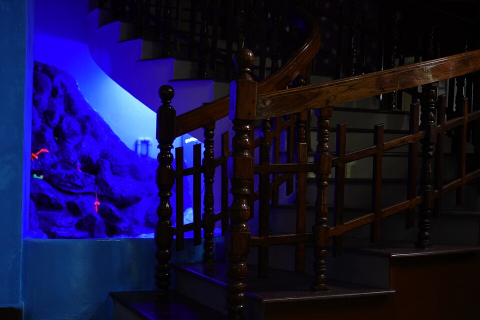 OYO 827050 Cardamom Rock Inn, Thekkady, Thekkady