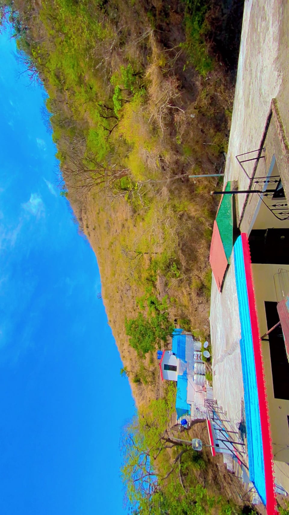 OYO 827139 The Destination Home Stay And Cafe, Kasauli, Kasauli