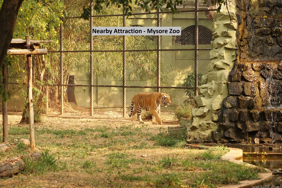 OYO 1951 Hotel Kings L Grand, Mysore City Center, Mysore