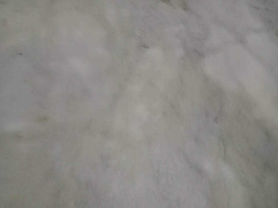 OYO 831012 Sarva Villa, Udaipur Central, Udaipur