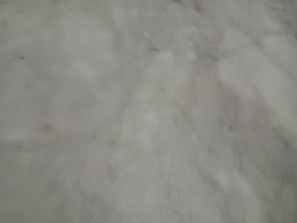 OYO 831012 Sarva Villa, Udaipur Central, Udaipur