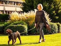 Sunday Box Hill Burford Bridge Hotel