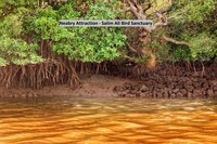 OYO Hotel River Isle Guest House