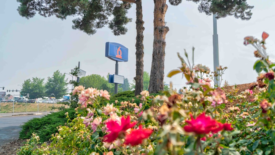 Studio 6 Suites Albany, OR, Albany, Albany