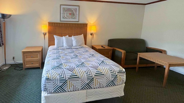 1 Queen Bed | Mobil Access Tub Nsmk Micfridg