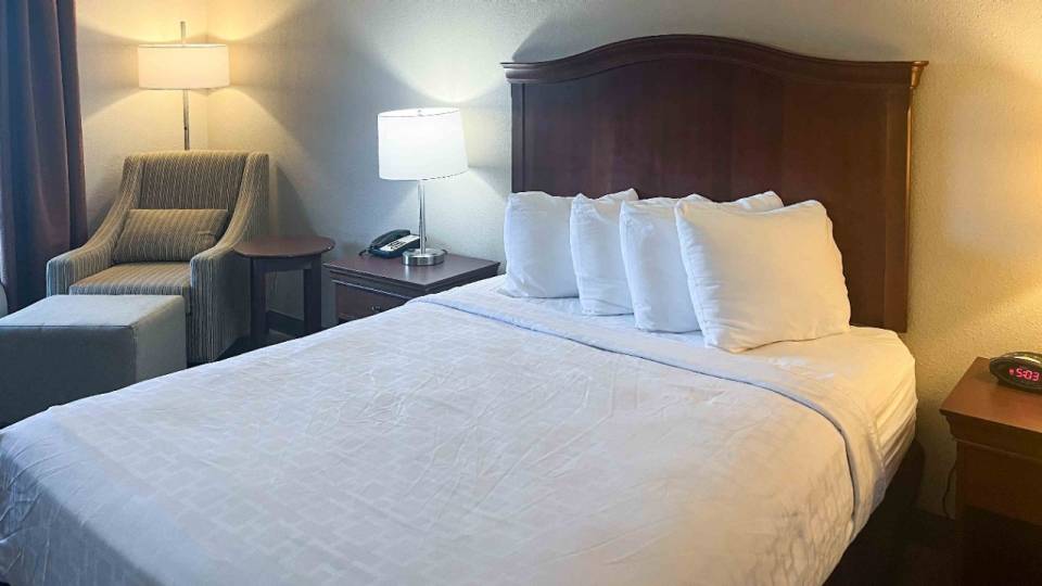 1 King Bed | Non-Smoking, Micfridge