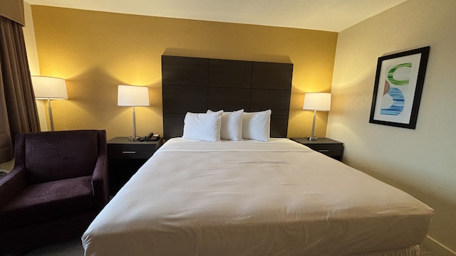 1 King Bed | Suite, Smoking