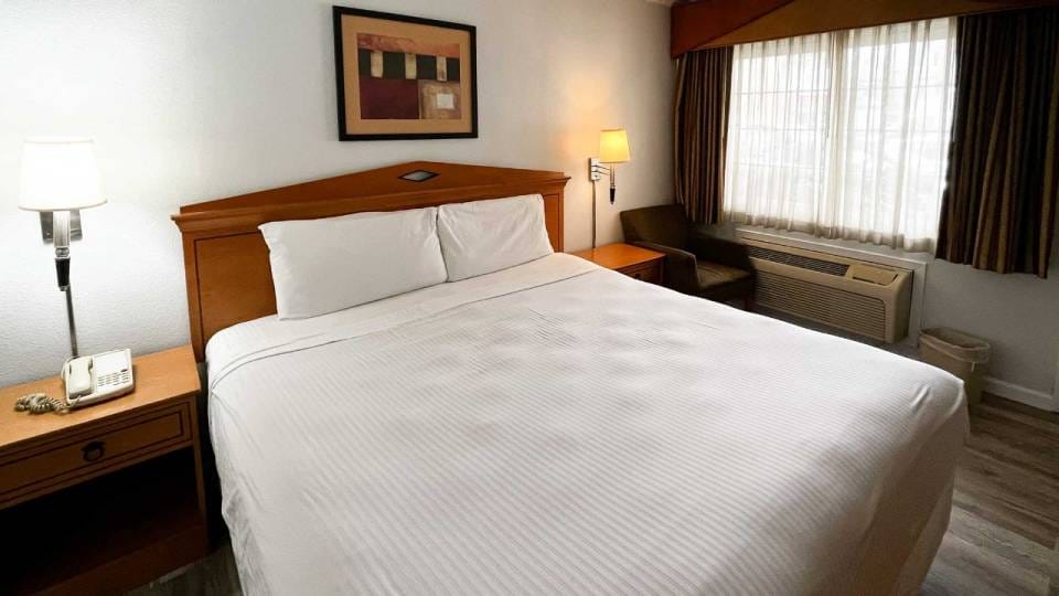 1 Queen Bed | Non-Smoking