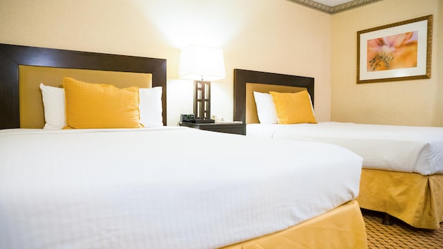 2 Queen Beds | Non-Smoking, Micfridge