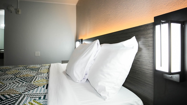 1 Queen Bed | ADA/RI Shower/Non-Smoking