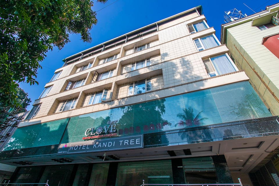 Capital O 2233 Kandi Tree, Jayanagar Bangalore, Bangalore