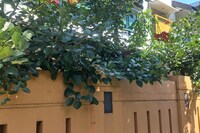 OYO 94650 Guest House Sakinah