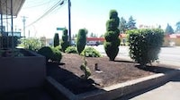 Townhouse Del Rancho Motel Portland Oregon 205