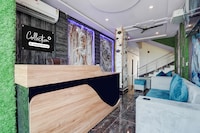 Collection O Radha Krishna Temple Vrindavan Formerly Shri Hari Seva Sadan