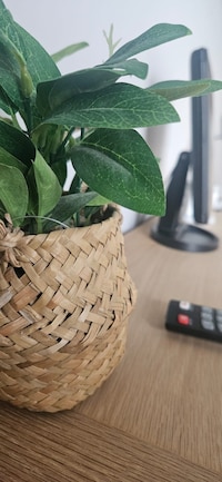 The Kings Arms, Colchester A120