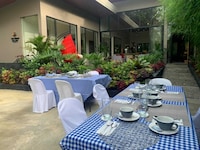 OYO 1177 The Great Molave