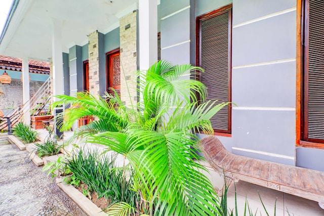 Dancenter Sanur Near Bali Exotic Marine Park