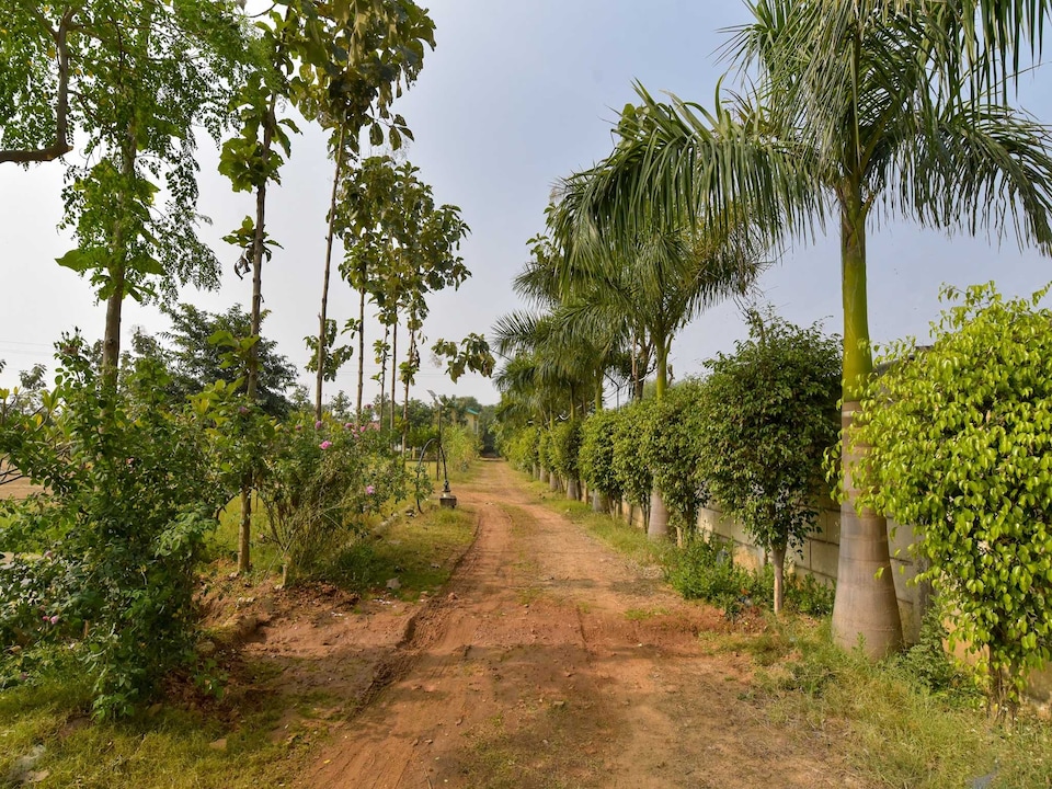 Ayut Sidhhi Villa By DanCenter | 3BHK | Pvt Pool | Jaipur, Amer, Jaipur