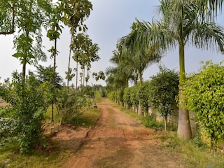 DanCenter Ayut Sidhhi Villa | 3BHK | Pvt Pool | Jaipur