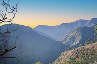 SPOT ON The Peaceful Perch