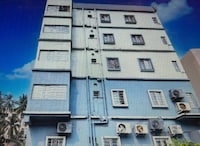 POP 84106E Hotel OLove Birds Hotel