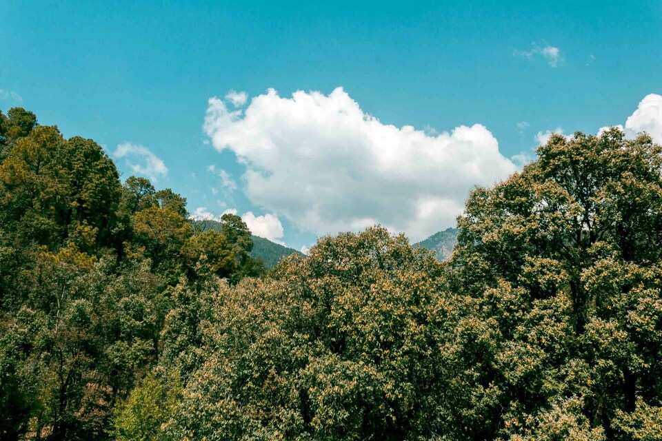 OYO Home 13334 Modern Stay, Dharamshala, Dharamshala