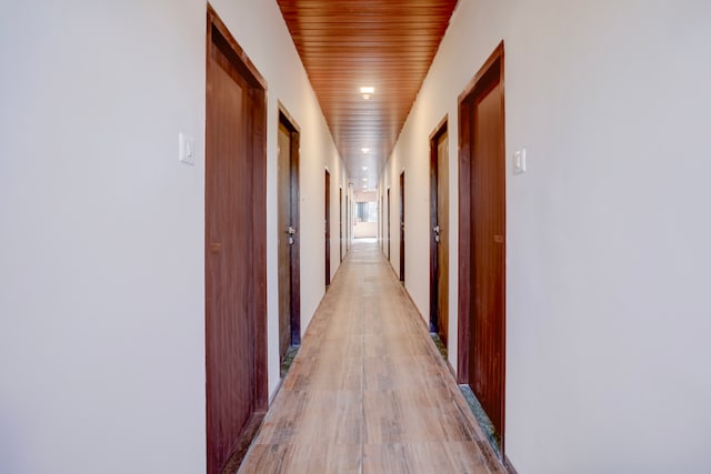 Super Collection O IIM Mumbai Formerly Green View