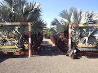 Hotel O Hirni Resort Sasan Gir