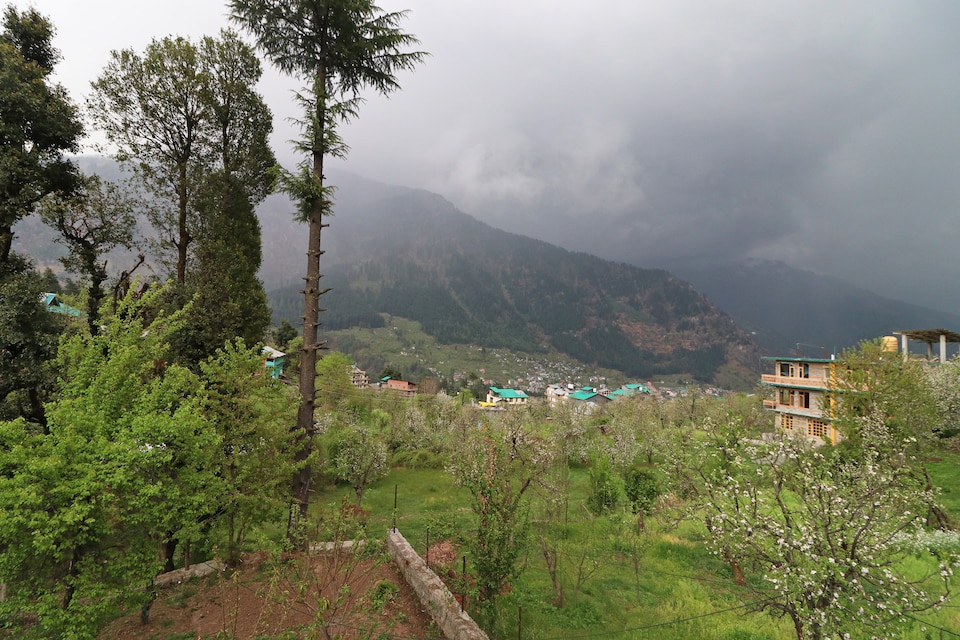 OYO Home 13695 Hill View Studio, Hadimba Temple Road, Manali