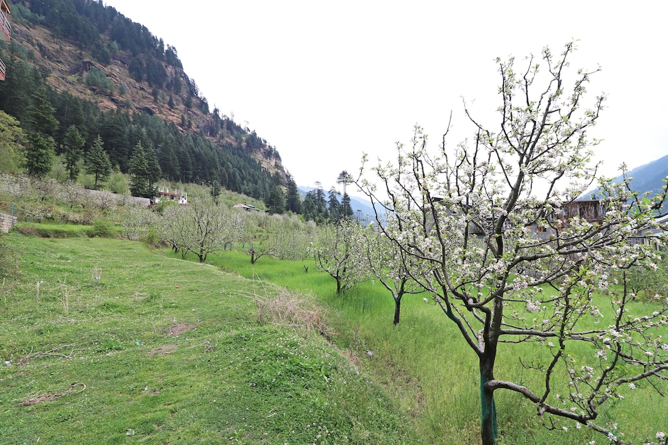 OYO Home 13697 Grand Hill View, Naggar Road, Manali