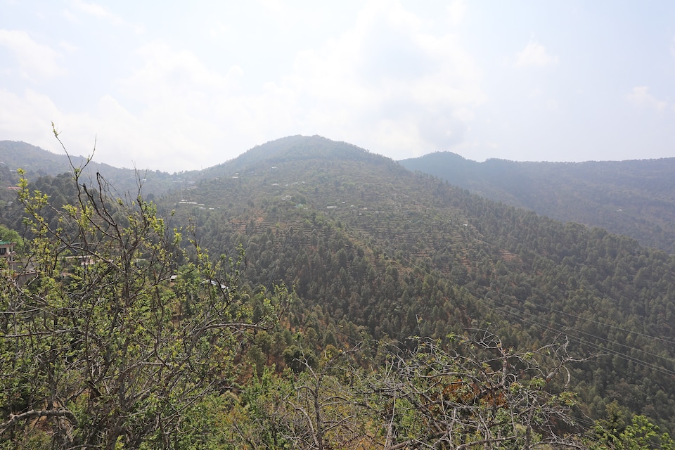 OYO Home 13785 Boutique 2BHK, Bhowali Nainital, Nainital