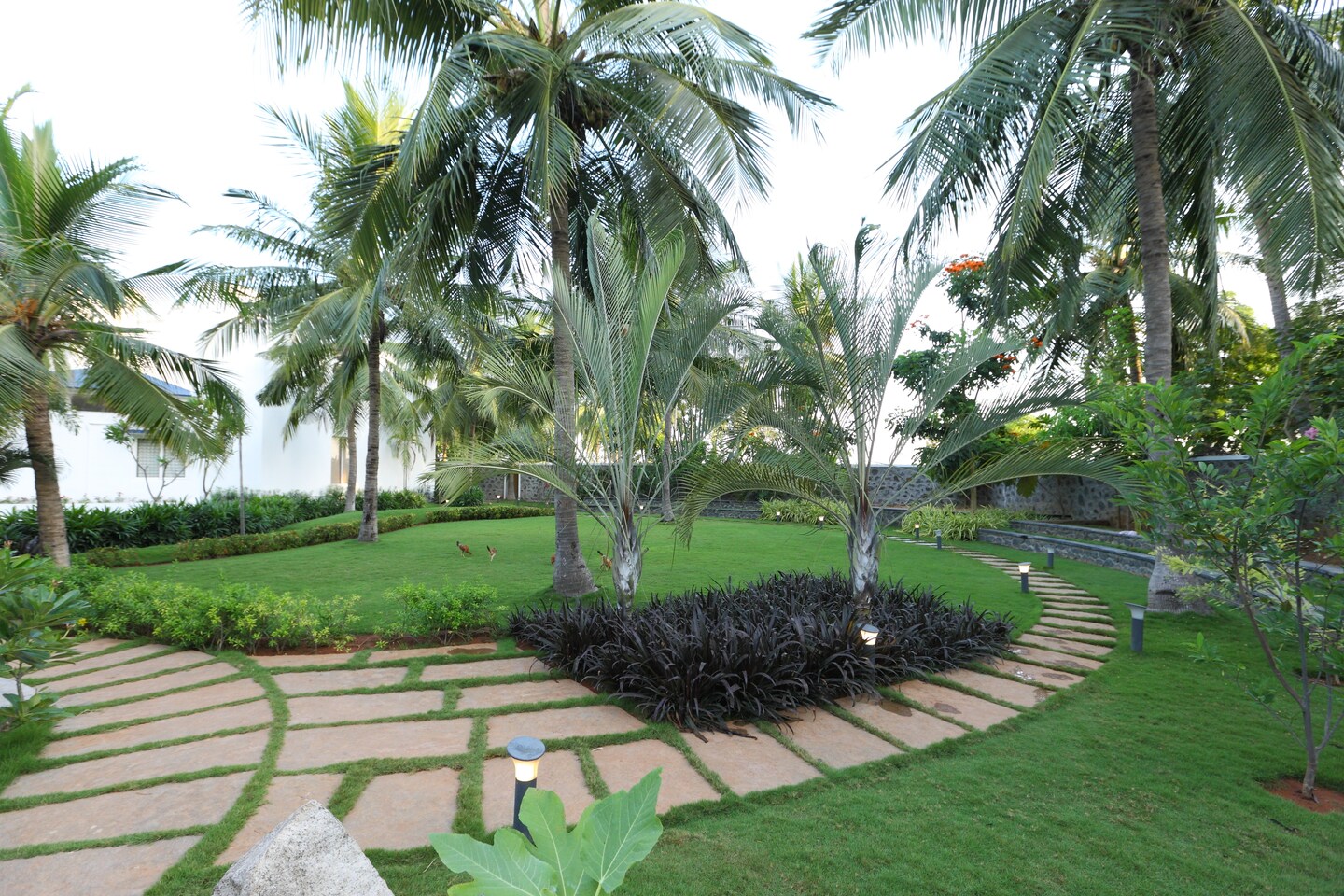 OYO 13820 Coco Retreat Farm Mahabalipuram Mahabalipuram Hotel Reviews