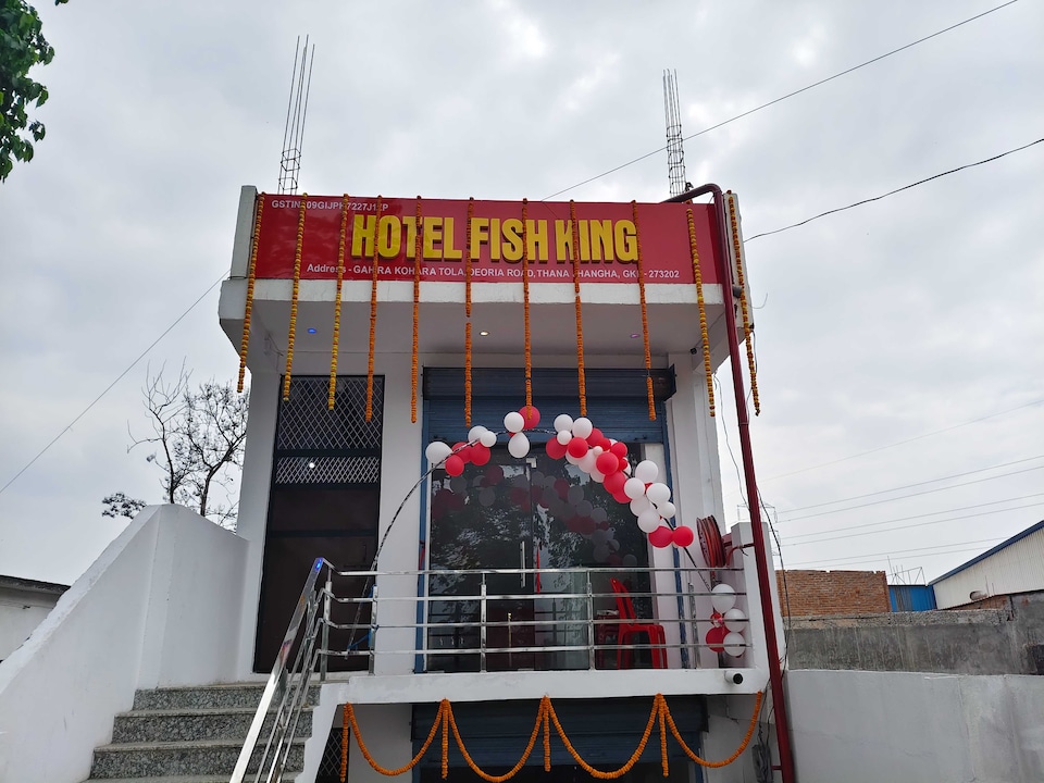 Hotel O Fish King, Golghar, Gorakhpur