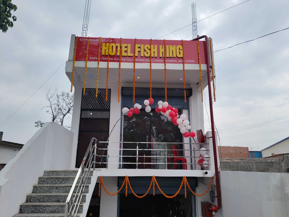 Hotel O Fish King, Golghar, Gorakhpur
