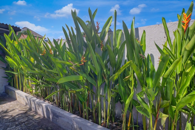 Collection O near Sanur Beach formerly Sutji Living