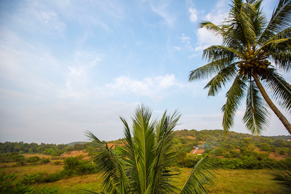 prop going live with new code - GOA3969, Candolim Goa, Goa