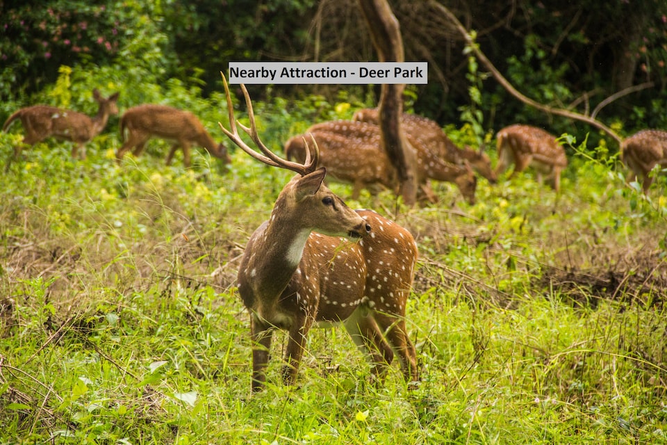 OYO 13915 Albis Ville, Ooty Town, Ooty